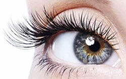 Lashes