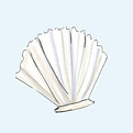 shells_edited.jpg