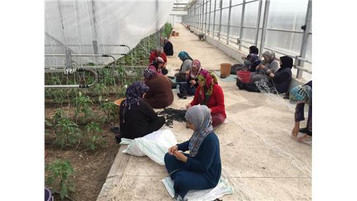 BM Gıda ve Tarım Örgütü Türkiye’ye sığınan Suriyeli mültecilere serada sebze üretimi eğitimine başla