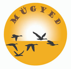 MÜLTECİ VE GÖÇMENLERİN YEREL ENTEGRASYONU DERNEĞİ İSTANBUL'DA KURULDU