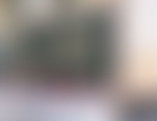 Suriye'nin mülteci hayvanları Türkiye'de!