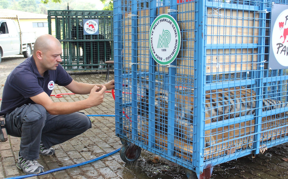 A rehabilitation centre in Turkey housing 13 animals that endured over six years of war in Syria