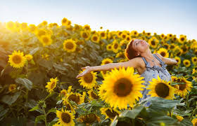  "O Poder da Resiliência Feminina: Como a Persistência Constrói o Sucesso Duradouro"