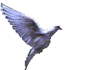 FFCU52T4MUEYFCFH2XXGHDRVK6P5SFW3.gif