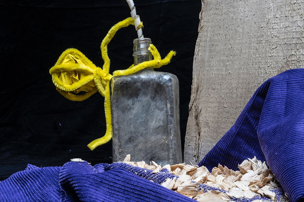 Miniaturbild: WHISKYPIRAT