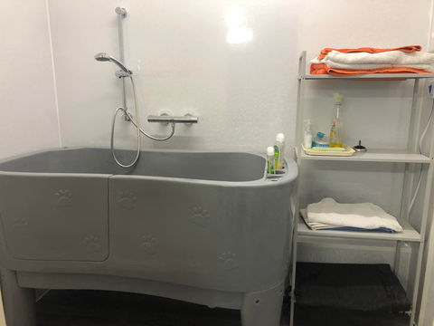 utility-room-conversion-devon.jpg