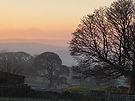 retreat landscape 1.jpg