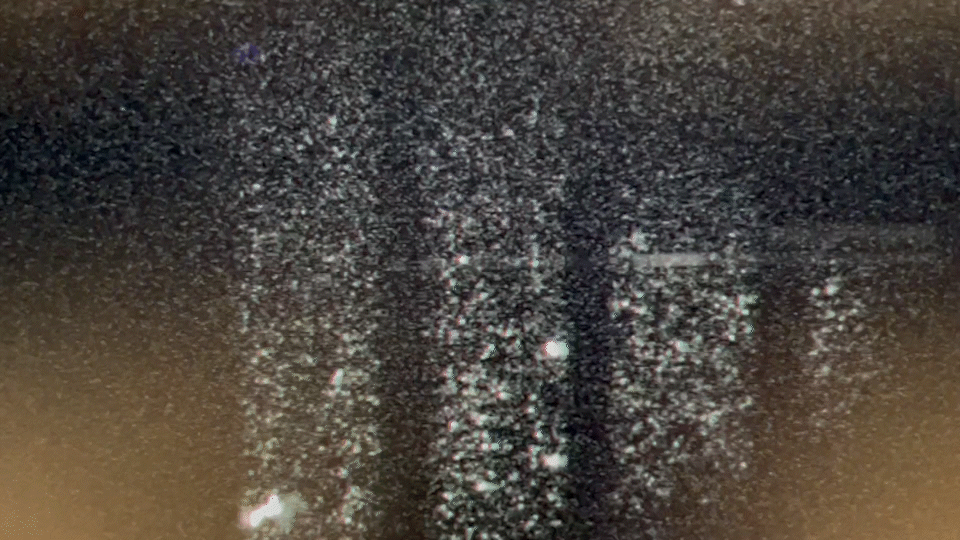 IMG_4211_MOV_AdobeExpress.gif
