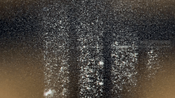 IMG_4211_MOV_AdobeExpress.gif