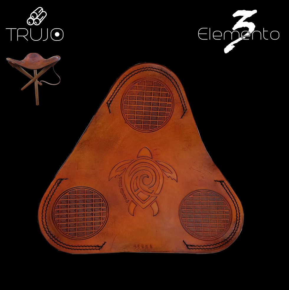 Thumbnail: Trujo - Tortuga