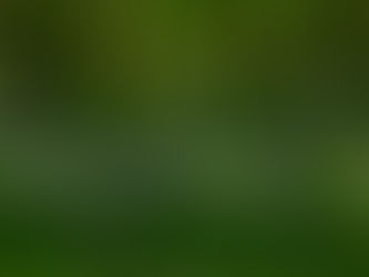 Le Grand Prix des Sylves comme si vous y étiez!