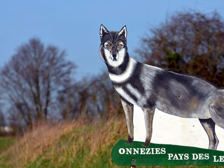 Le jogging des Leûs comme si vous y étiez