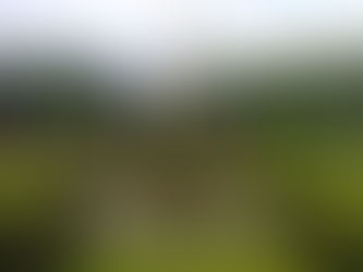 Pucelette 2019 : bleuets, Rafa, Kabi… et vous !