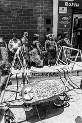 IMG_8137.jpg