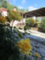 Rose Agriturismo Marinea Zugliano VI