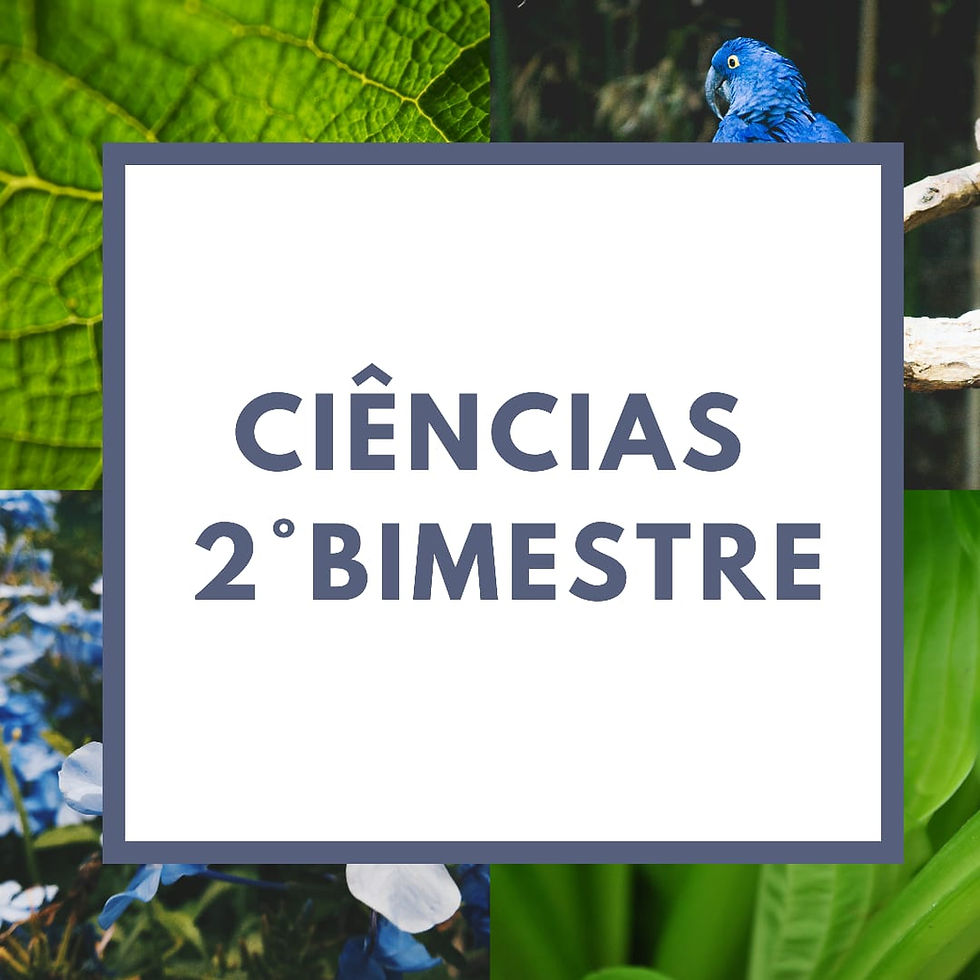 CIÊNCIAS - 2ºBIMESTRE 