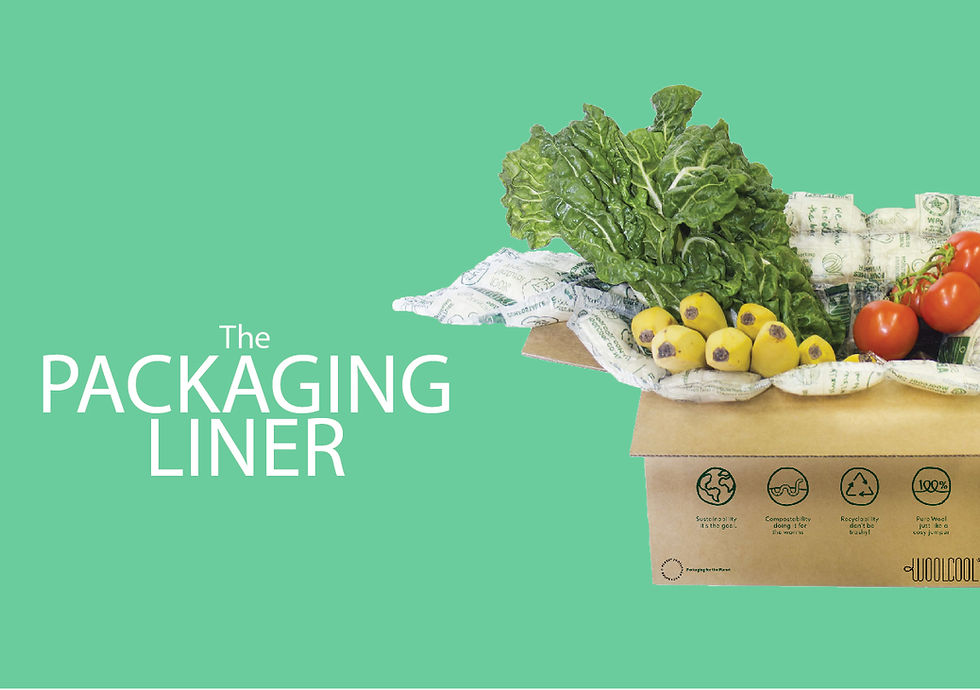 Designing Food Packaging for Industry