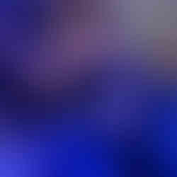 Stuartholme Soirée Gala Ball