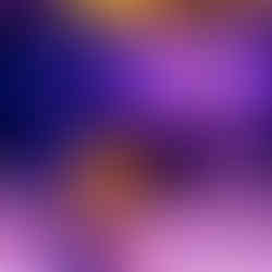 Stuartholme Soirée Gala Ball