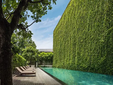 Swimming pool surrounded by tropical gardens at 137 Pillars House in Chiang Mai, Thailand.