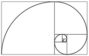Fibonacci_spiral_34.svg.png