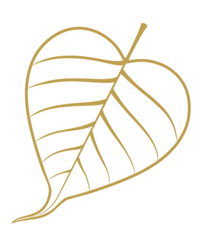 Bodhi Leaf