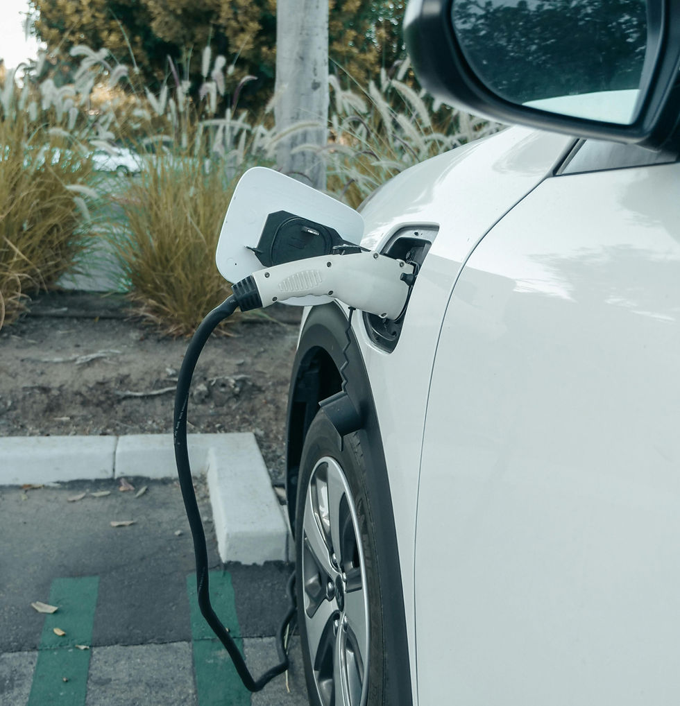 Cargador elect_edited.jpg