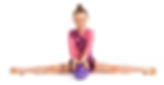 Little Gymnast