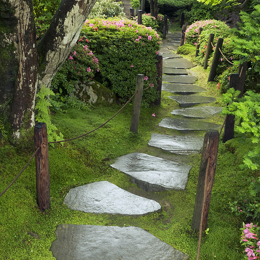 pathway for teen and family success.jpg