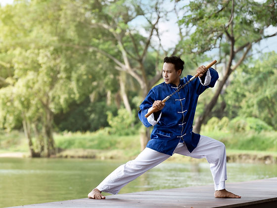 Man in Blue Practicing Kung Fu