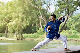 Man in Blue Practicing Kung Fu