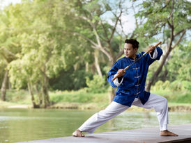 Meaning of Tai Chi Moves