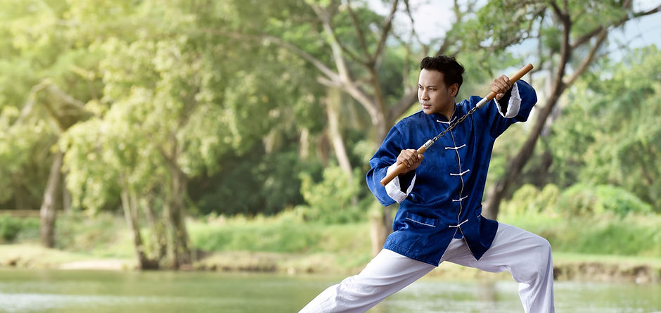 Man in Blue Practicing Kung Fu