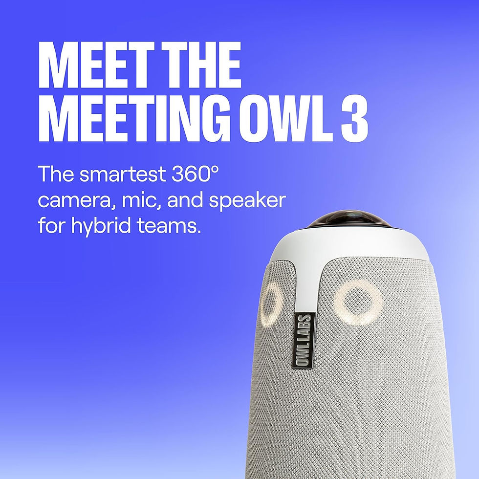 Thumbnail: Meeting Owl 3