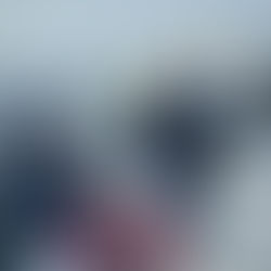 Logbog den 20. november 2024