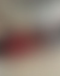 Logbog den 13. marts 2024