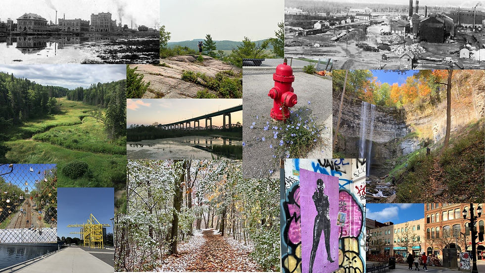 The Inner Landscape of Detroit