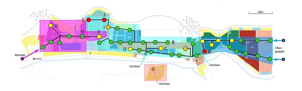 The temporary network with the four subnetworks Münster (violet), Ulrichen (turquoise, pink) and Obergesteln (blue)