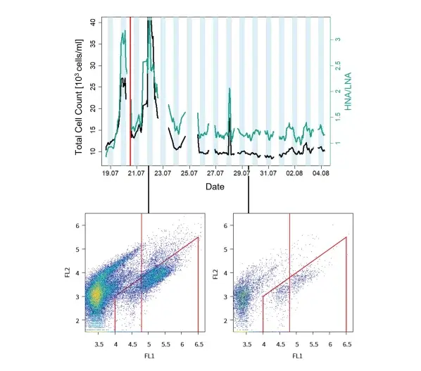 Temporal course of total cell count (TCC) and the high nucleic acid/low nucleic acid (HNA/LNA) ratio at the online measurement station