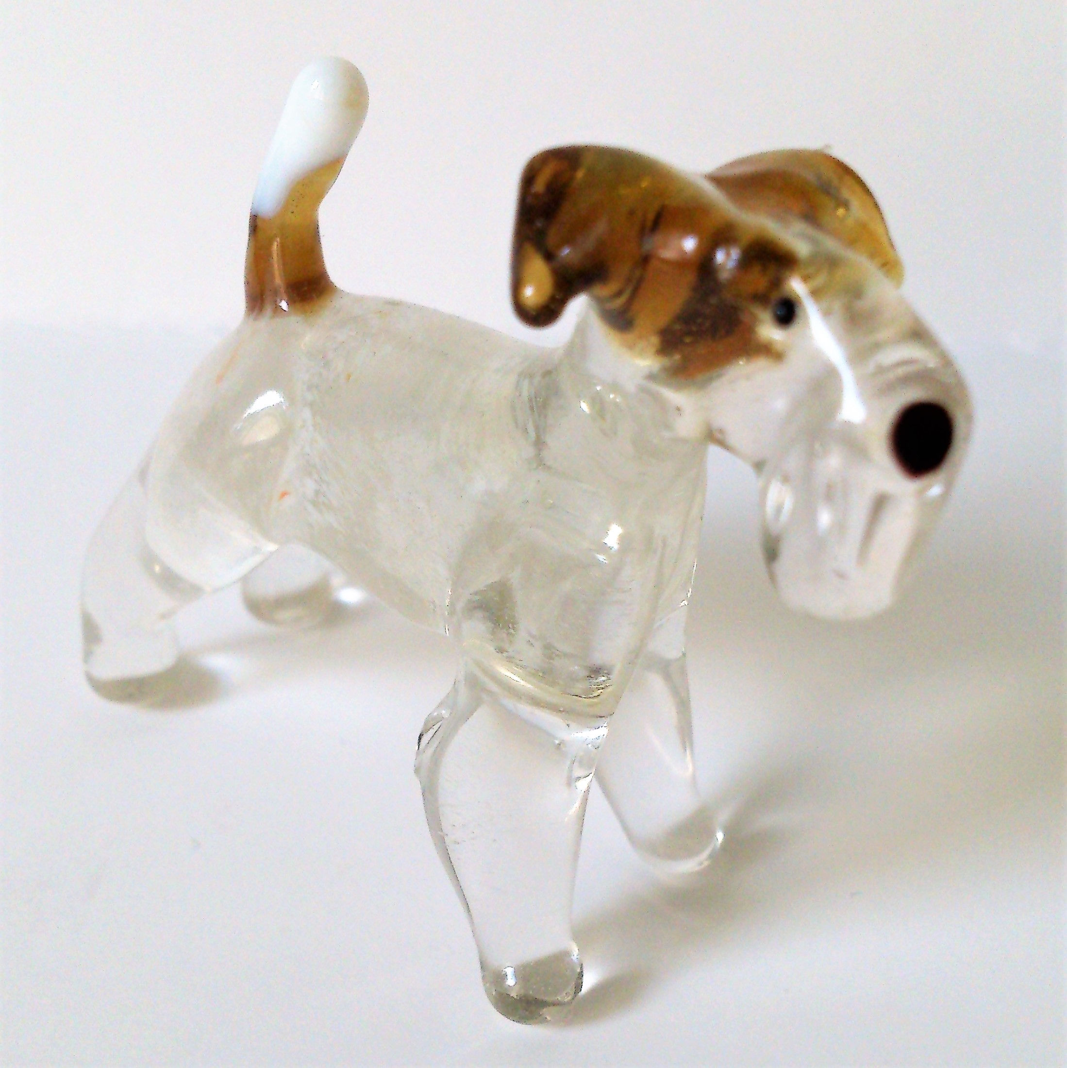 Collection Dog Glass
