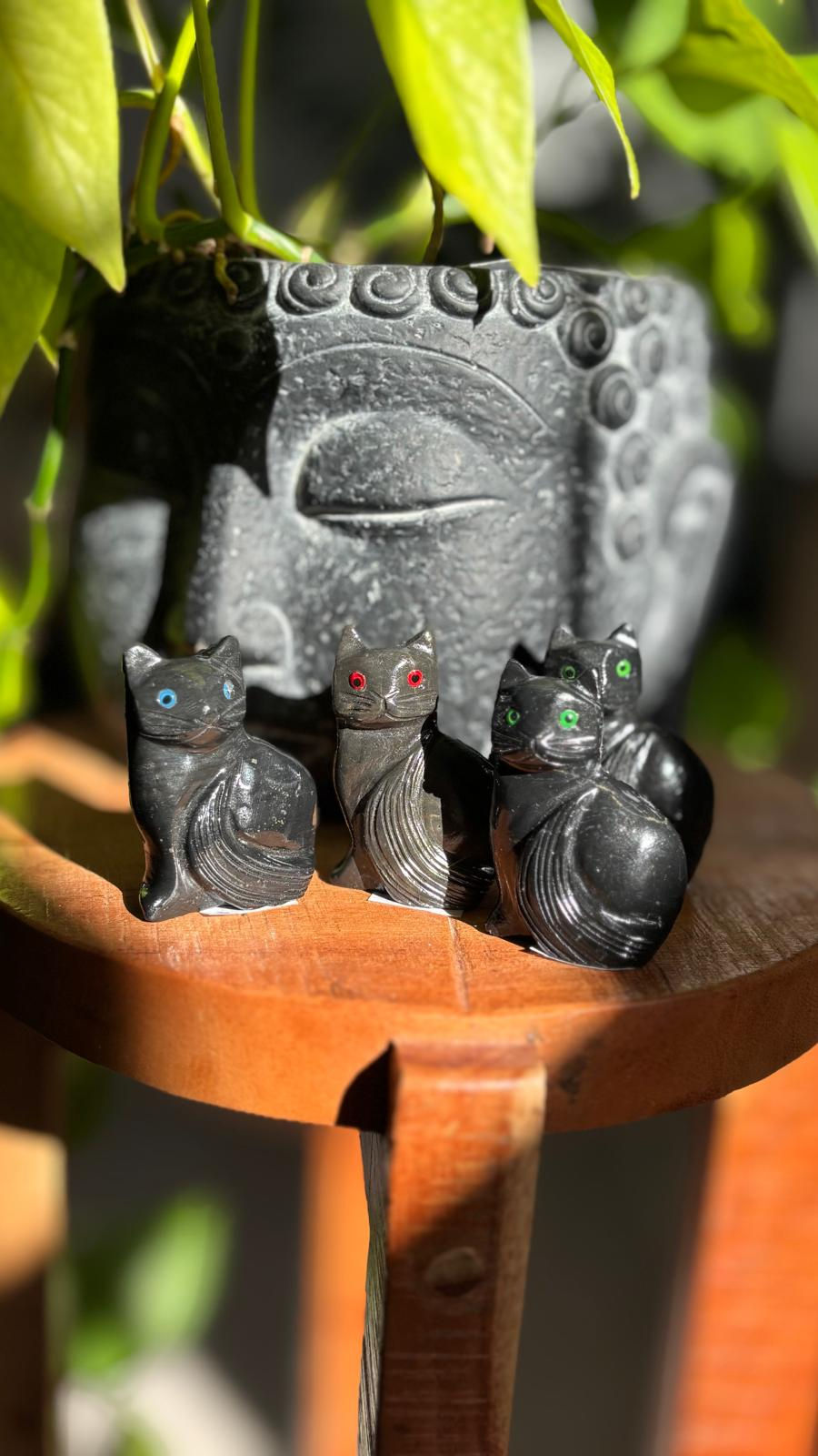 Thumbnail: CAT - Black Onyx
