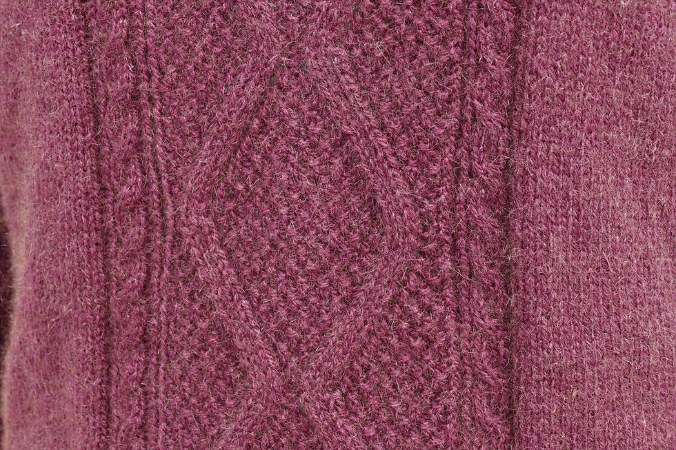 Miniaturbild: Purpur-Enzian