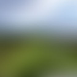 Exploring the Best-Kept Secrets of Hudson Valley: Sippin', Munchin', and Strollin' Guide!