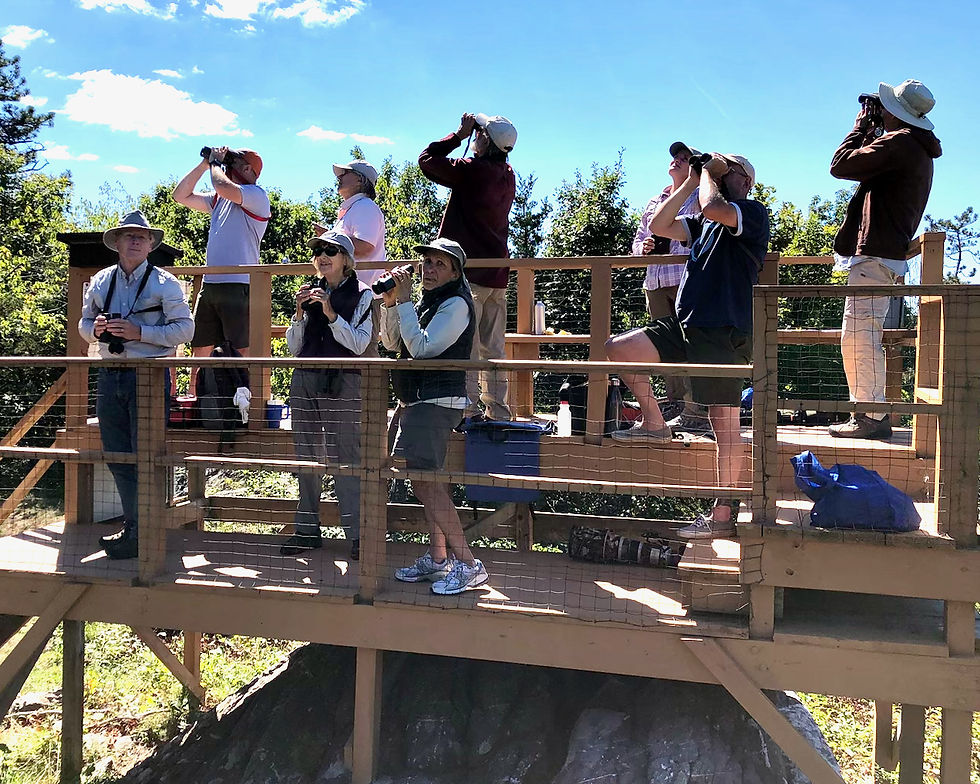 Hawk watchers at Mount Peter during fall migration. Photo by Jim Wright.