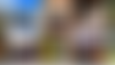 The 12 Stays of Christmas Giveaway? Last Chance To Enter!