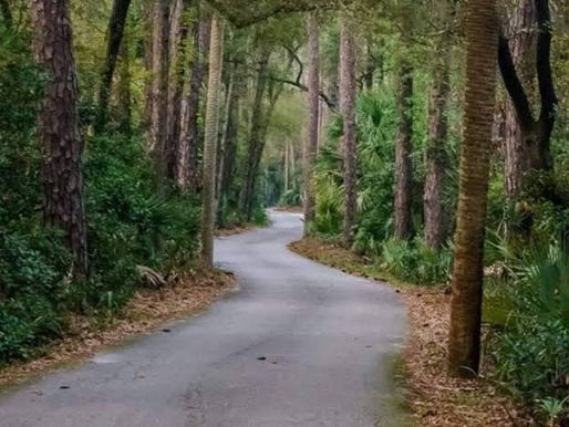 A Pine Plains Family Called in the Bigfoot Hunters. What They Found on Camera Might Be Something Stranger.