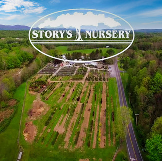 Instagram: @storysnursery Website: http://www.storysnursery.com/