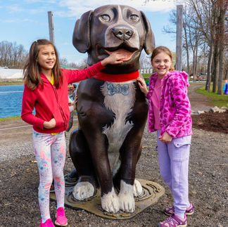 Instagram: @dogwoodacresfamilyfarm  Website: https://www.dogwoodacres.farm/garden-center