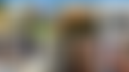 Artrider's Spring Crafts at Lyndhurst May 3–4