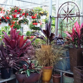 Instagram: @storysnursery Website: http://www.storysnursery.com/